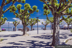 Lac de Constance