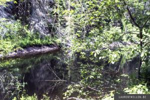 algonquin park photo