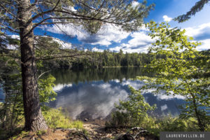 algonquin park photo