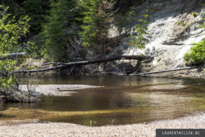 algonquin park photo