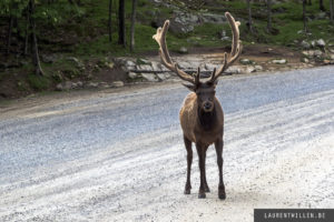 parc omega photo