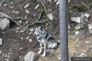 parc omega photo