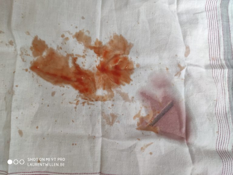 sonic-soak-test-review-10