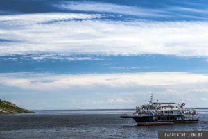 tadoussac croisiere aml baleine photo