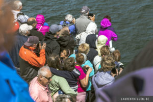 tadoussac croisiere aml baleine photo
