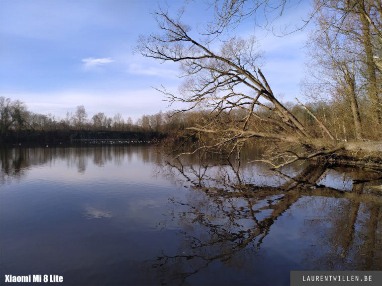 mi8-lite-day-photo-4b