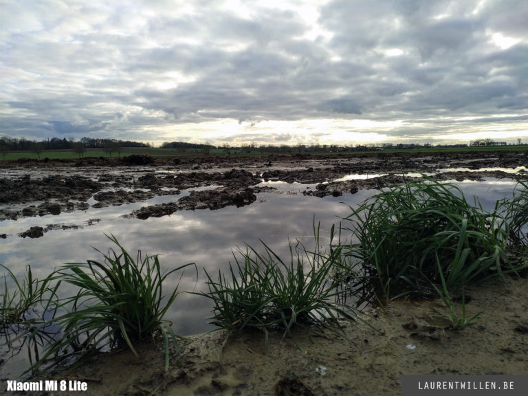 mi8-lite-day-photo-5