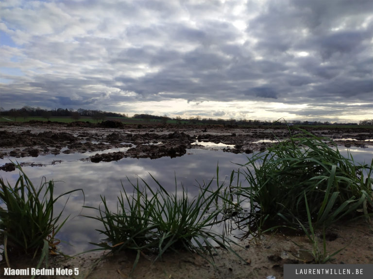 redmi-note-5-day-photo-5