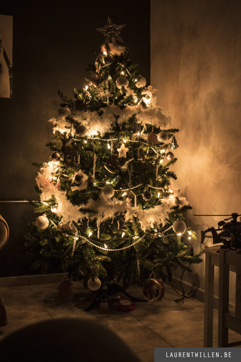 xiaomi-mi8-lite-photo-test-canon-dslr