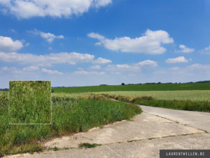 Samsung Galaxy S10+ test review beoordeling prueba