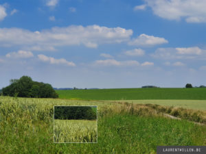 Samsung Galaxy S10+ test review beoordeling prueba