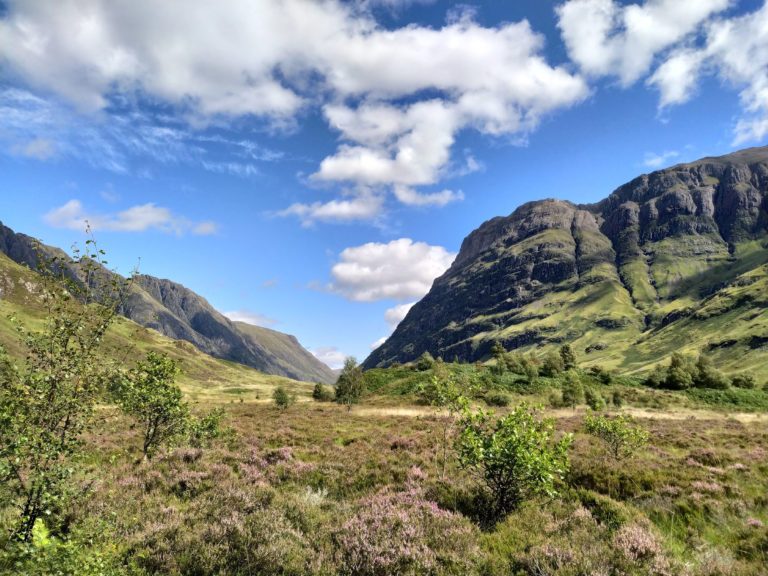 xiaomi mi a3 camera test photo