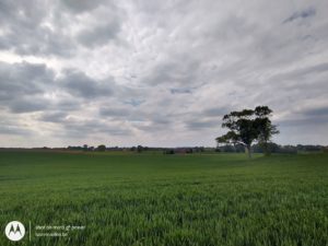 motorola-g8-power-test-photo-cloud-5