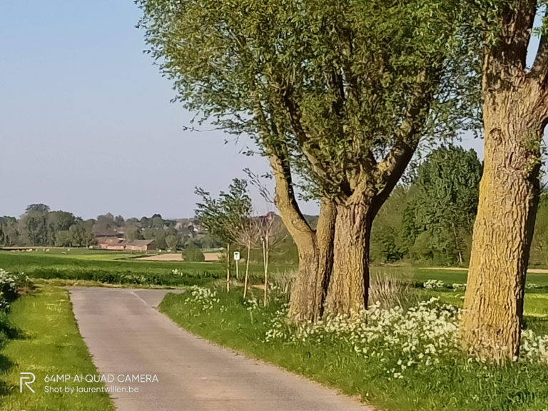 realme-6-test-avis-review-recensione-opinion-photo-sun-5