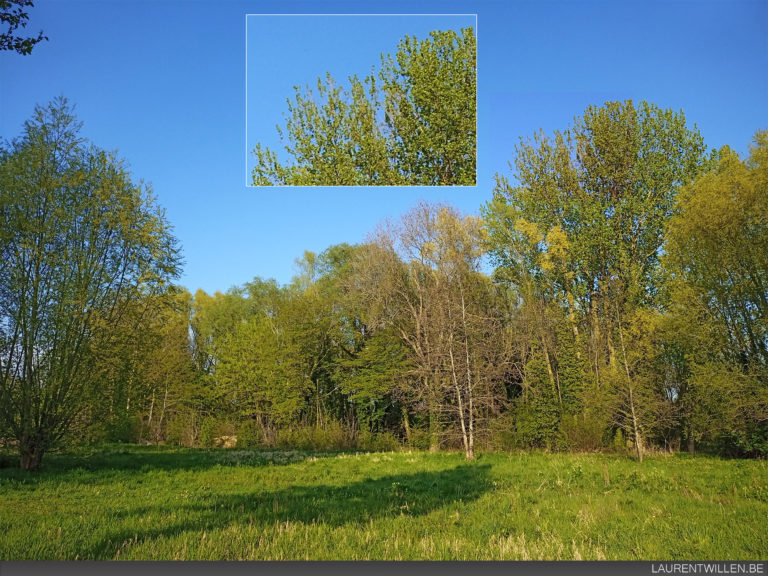 umidigi-f2-avis-test-review-recencione-opinion-photo-sun-3