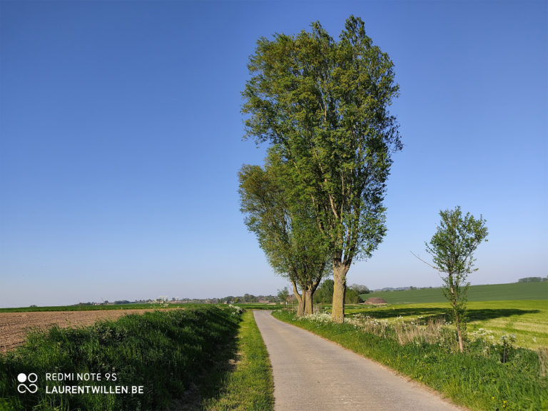 xiaomi-redmi-note-9s-test-avis-review-opinion-revision-recensione-photo-sun-2