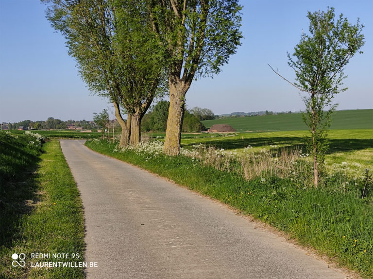 xiaomi-redmi-note-9s-test-avis-review-opinion-revision-recensione-photo-sun-4