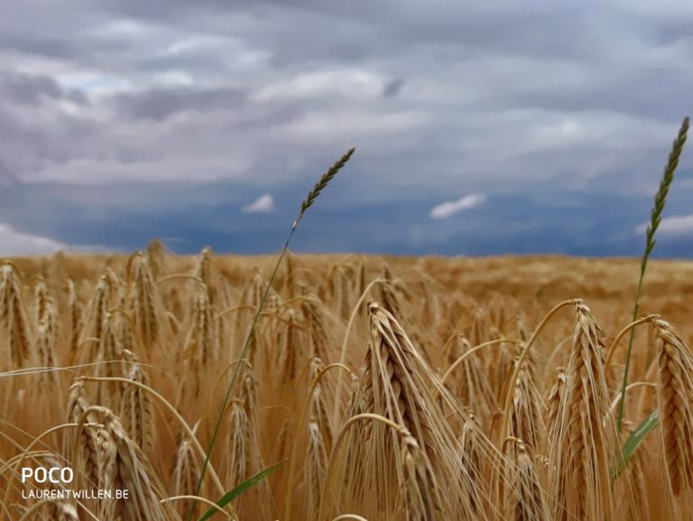 poco-f2-pro-test-review-avis-recensione-prueba-opinion-beoordeling-photo-qualite-cloud-10