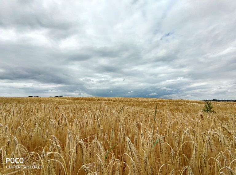 poco-f2-pro-test-review-avis-recensione-prueba-opinion-beoordeling-photo-qualite-cloud-6