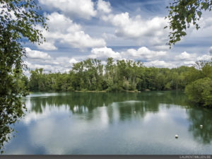 redmi-note-9-test-quality-photo-raw-1