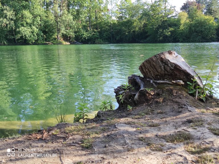 xiaomi-mi-10-lite-test-review-avis-recensione-prueba-opinion-beoordeling-photo-sun-25