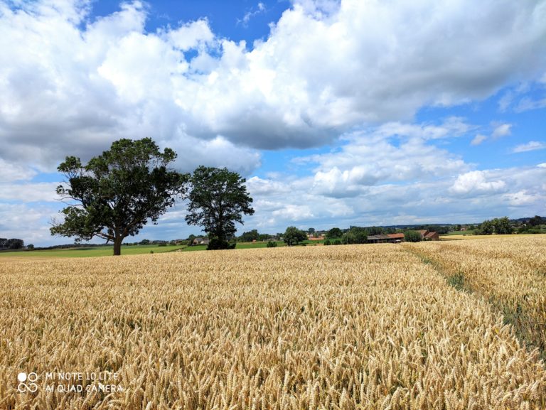 xiaomi-mi-note-10-lite-test-review-avis-recensione-prueba-opinion-beoordeling-photo-sun-70