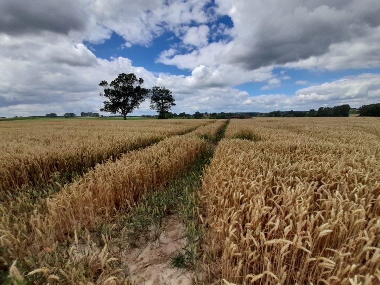 samsung-galaxy-a21s-test-review-avis-recensione-prueba-opinion-beoordeling-photo-cloud-5