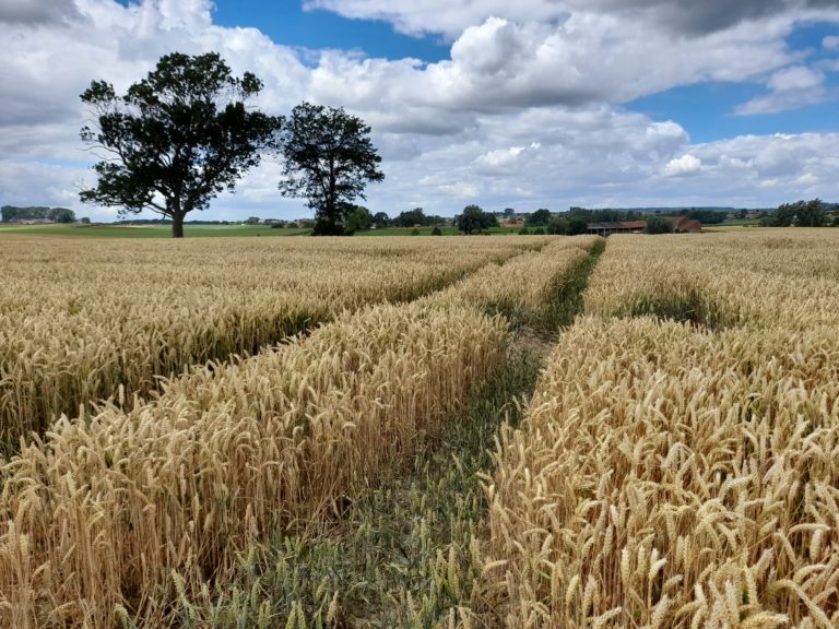 samsung-galaxy-a21s-test-review-avis-recensione-prueba-opinion-beoordeling-photo-cloud-6